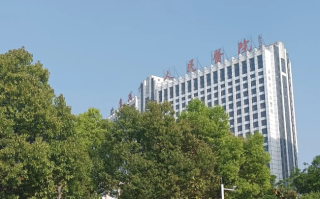 毕节找人代替抽血阜阳入职体检服务