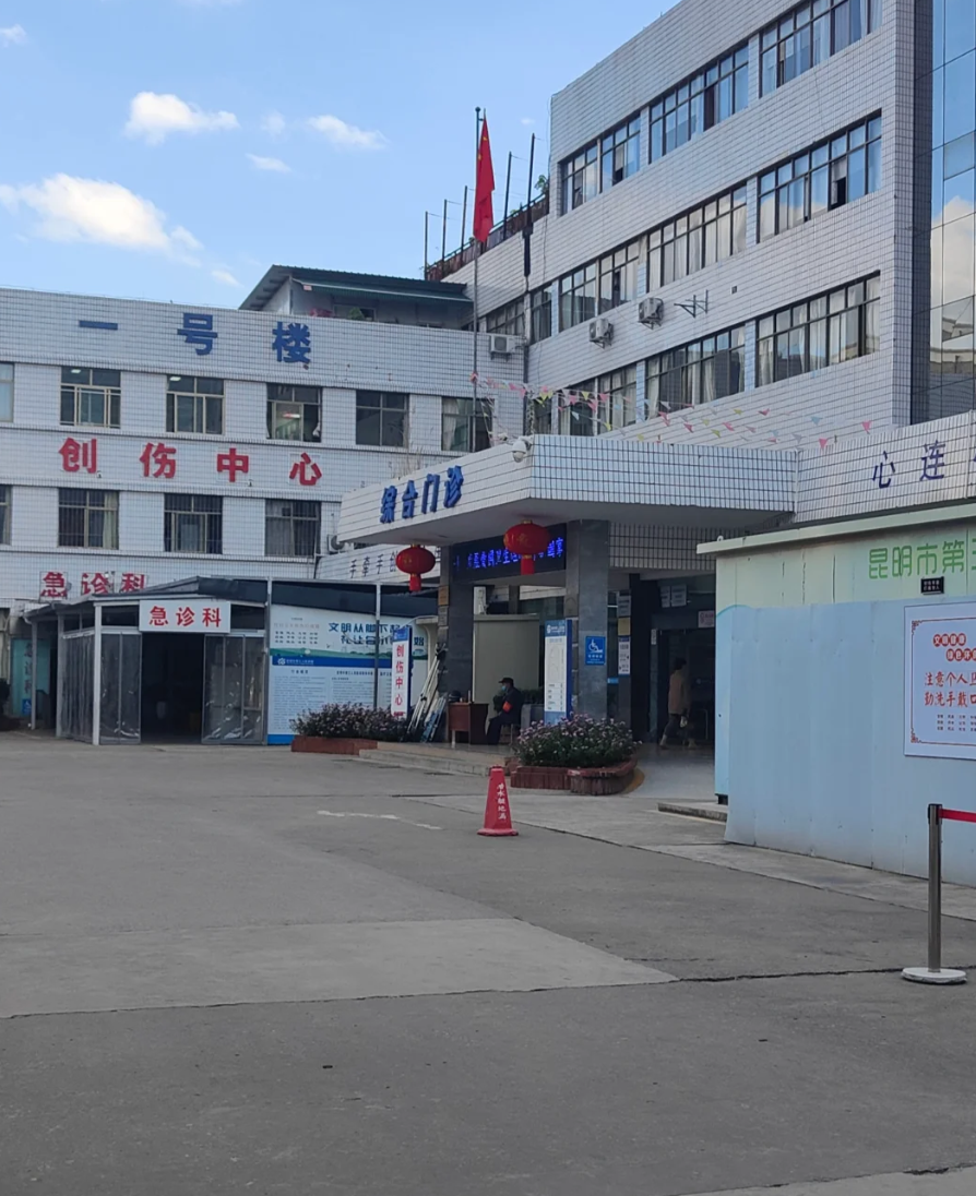 毕节找人代替抽血昆明入职体检服务-第1张图片-代解忧