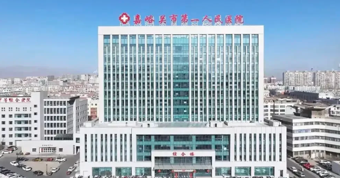 毕节找人代替抽血嘉峪关入职体检服务-第1张图片-代解忧