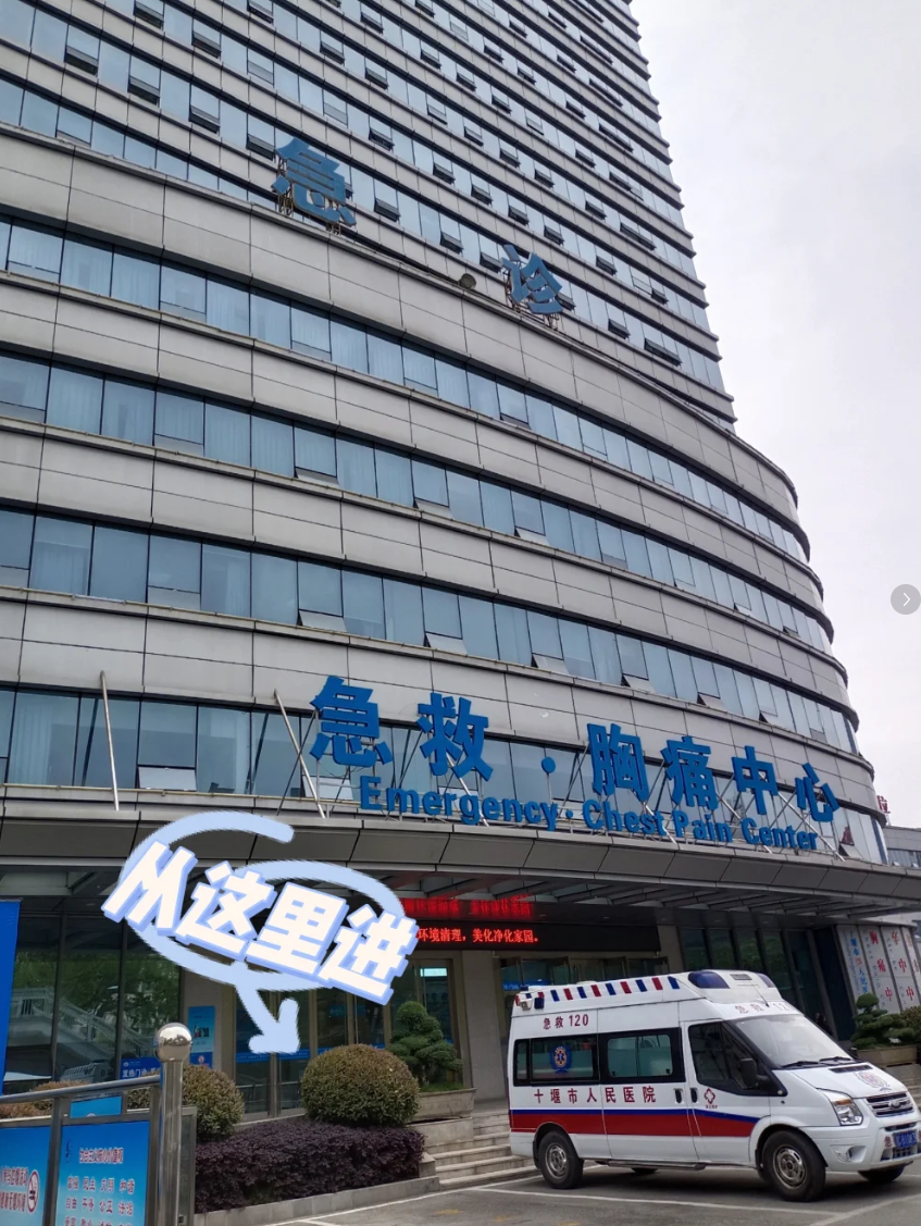毕节找人代替抽血十堰入职体检服务-第1张图片-代解忧